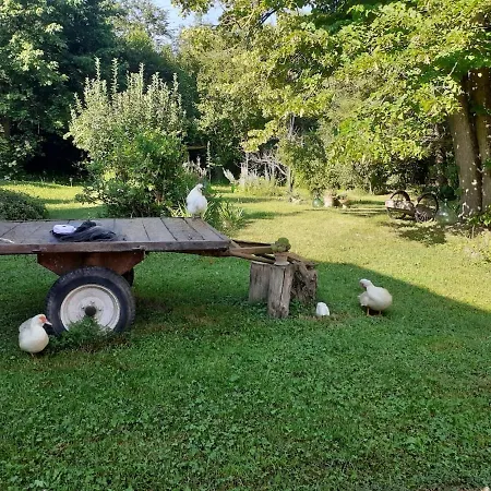 Apartmán Il Bosco Di Ettore