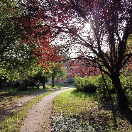 Il Bosco Di Ettore Apartmán Finale Emilia