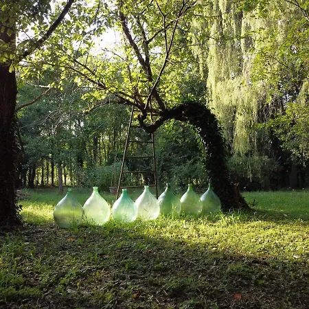 Il Bosco Di Ettore *